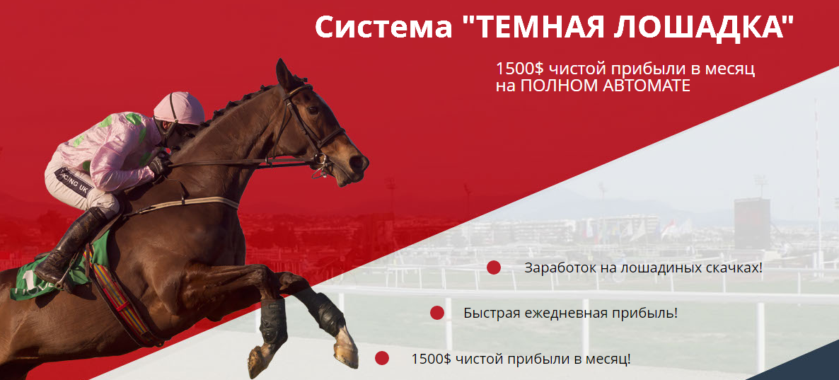 Темная лошадка - Гайнутдинов (2016)_0.png